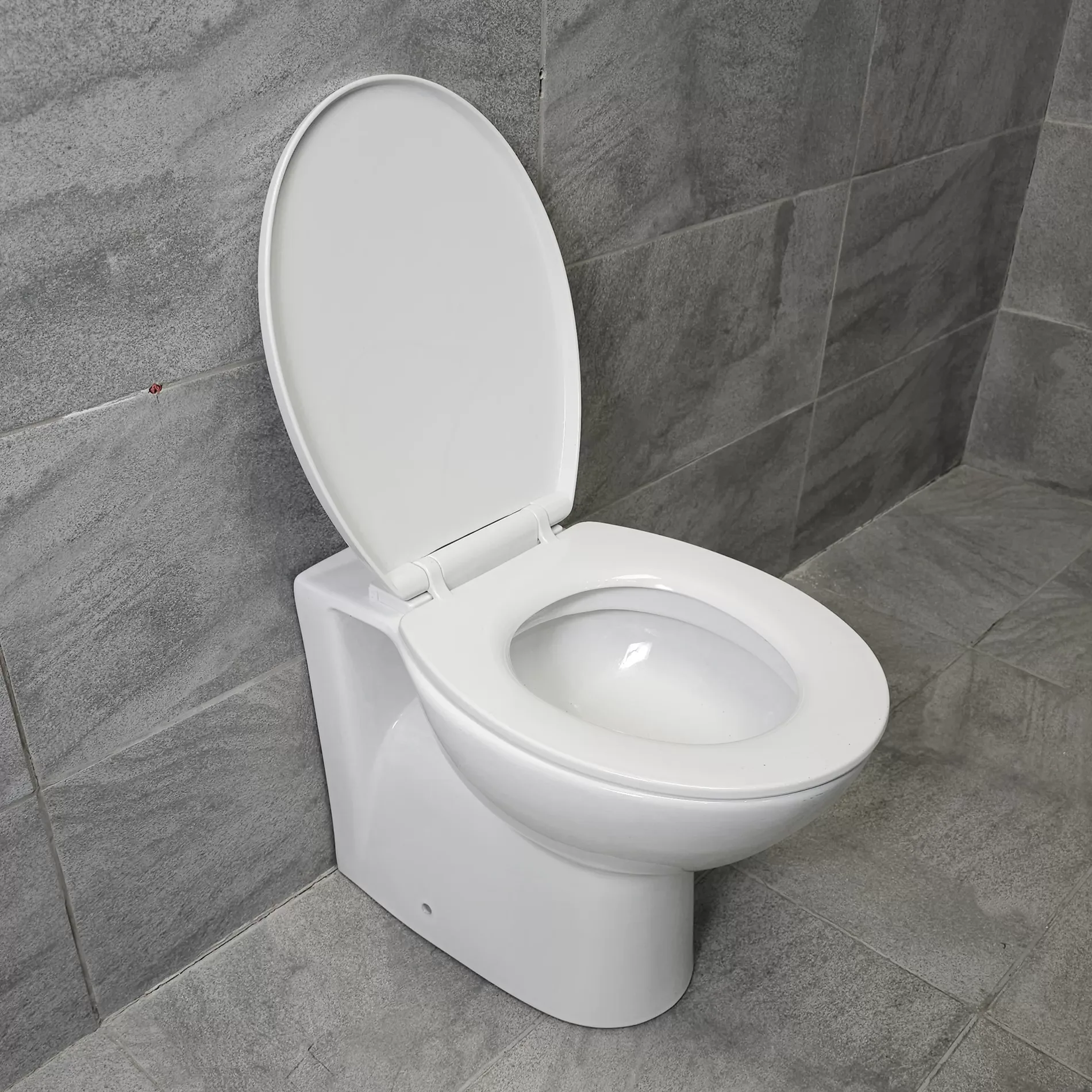 Georgina Round Back To Wall Toilet Pan With Soft Close Seat 4 Georgina Round Back To Wall Toilet Pan With Soft Close Seat - Image 2