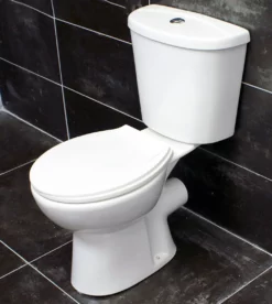 Complete P Shape Showerbath Bathroom Suite With Screen & Taps Option Left Hand 24 Complete P Shape Showerbath Bathroom Suite With Screen & Taps Option Left Hand -UK Bathroom Products Sales 2024 Griselle Close Coupled Toilet with Seat Options Modern Style WC 222669391428 JPG