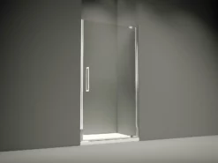 Merlyn 10 Series Pivot Shower Door With Tray Option