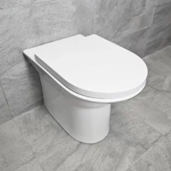 Olive Luxury Rimless Back To Wall Pan Including Soft Close Seat